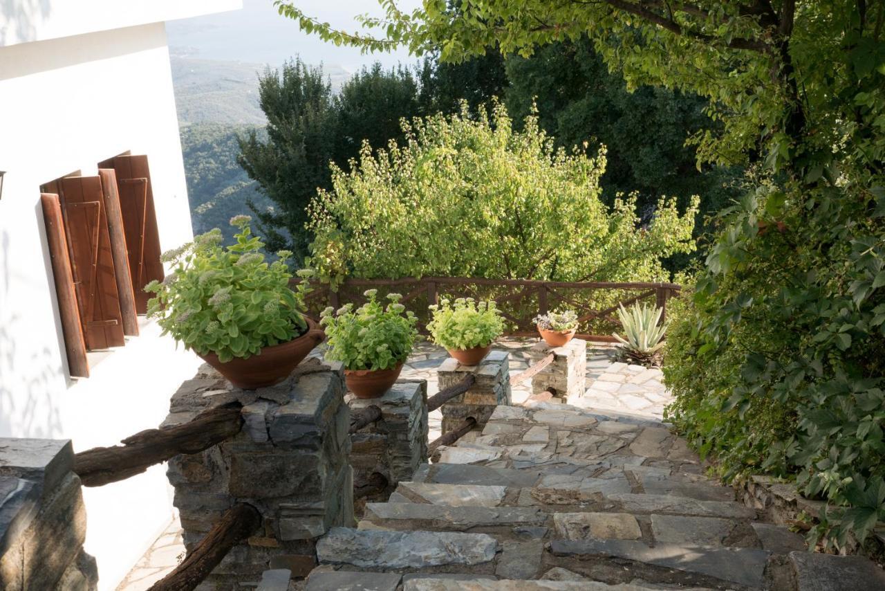 Pelion House With Wonderful View *